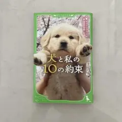 購入意思のない、いいね！不要★プロフ必読！ EF66 プロフ必読お願い致します。様 リクエスト 3点 まとめ商品