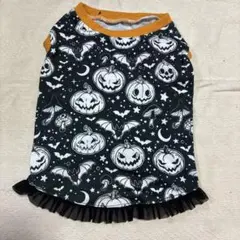 Item thumbnail for item 195417da-bc21-4ecc-9f3d-065faf2eebf4