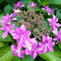 さらまりも様 リクエスト 3点 まとめ商品