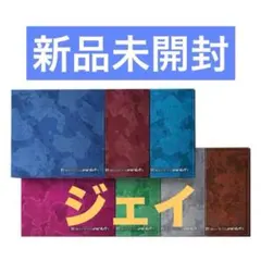 THE SIN：VANISH FUGITIVES Ver. ジェイ