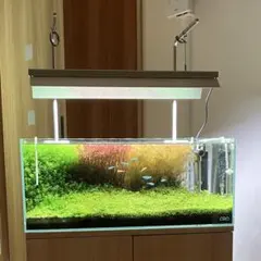 2026年最新】weekaquaの人気アイテム - メルカリ