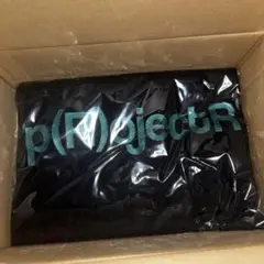 p(R)ojectR® プロジェクトアール ピンクストーン ロゴ パーカー S