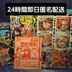 最強ジャンプ2025年5月号 応募券有り 付録のみ