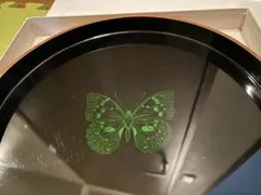 Item thumbnail for item 608d6e5b-29fc-47a1-b801-418c8e56a99f