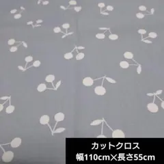 Item thumbnail for item da7c7c2d-94cc-4635-b6a8-859d90b8c164