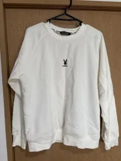 Item thumbnail for item 6ff55da3-6c7b-4a1f-bb7e-8ccf7512755b