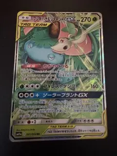 フシギバナ＆ツタージャGX RR SM11a リミックスバウト 001/064