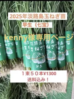 2025年最新】淡路島玉ねぎ苗の人気アイテム - メルカリ