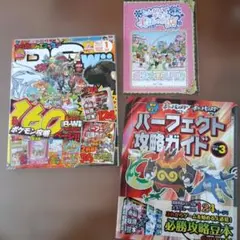 ファミ通DS+Wii 　2011年1月号