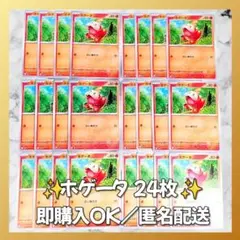 【1516】　ポケカ ホゲータ 24枚セット まとめ売り 大量 匿名配送