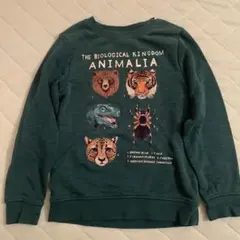 H&M 動物イラスト トレーナー 122/128