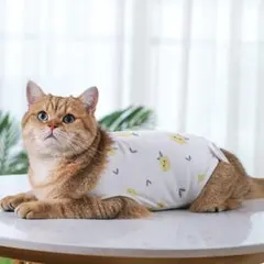 고양이와 강아지용 수술 후 옷 S 통기성이 좋고 부드러운 수술 후 착용감, 애완동물 수유복