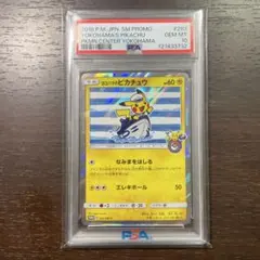 T*影様 ヨコハマのピカチュウ：スペシャルBOX ポケモンセンターヨコハマ PR