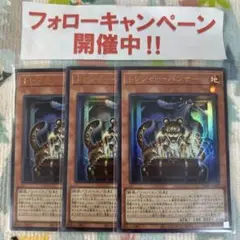 遊戯王 トレジャーパンサー 3枚セット ③