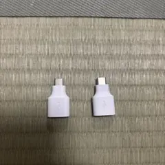 USB Type-C 変換アダプタ 2個セット