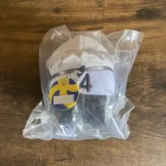 ユニフォーム　木兎光太郎　もちもちマスコット　ハイキュー　ぬいぐるみ