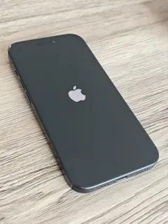Apple iPhone 15 ブラック 本体