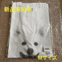 2025年最新】スピッツ ゴースカ8の人気アイテム - メルカリ