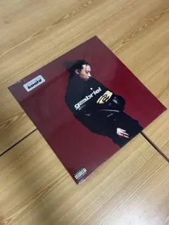 LPレコード　Keshi Gabriel＜Colored Vinyl＞