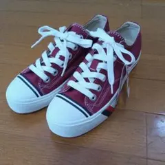 PRO-Keds スニーカー ローカット バーガンディ
