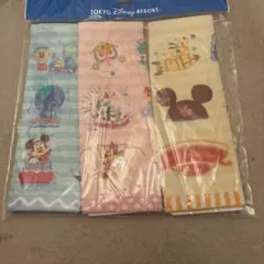 東京ディズニーリゾート タオル3枚セット