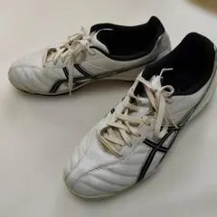 Item thumbnail for item 793463ec-e3ff-4a57-bf66-572c1535bc45