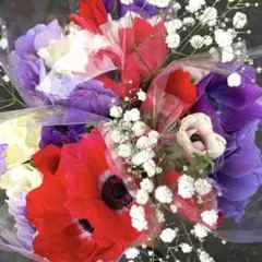 30개❗️ 71 생화 아네모네 꽃이 만발한 모나리자 꽃다발 배열 꽃