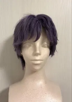 福原多聞 コスプレ ウィッグ - メルカリ