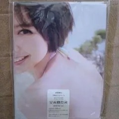 Item thumbnail for item 2e52d510-fb0d-4b19-ac2f-f1c6a83251a5