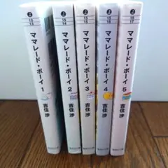 ママレードボーイ　文庫　全巻セット　吉住渉