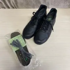 Item thumbnail for item 8dc5d8ca-ddb2-45ef-bc47-0a46724e2a88