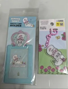 エスターバニー　フォトカードホルダー　アクリルキーホルダー　韓国限定