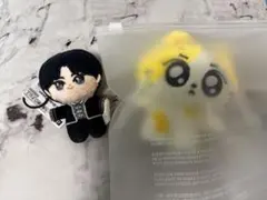 2026年最新】enhypen ジョンウォン ぬいぐるみの人気アイテム - メルカリ