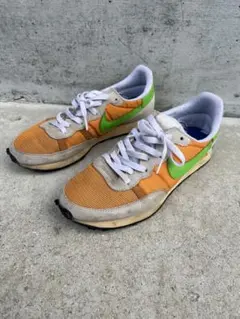 Item thumbnail for item 2534702b-890e-44de-82ac-7b28d0c228ec