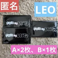 ビーファースト　オンラインくじ　LEO フォトカード　A×2枚、B×1枚　計3枚