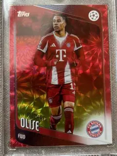オリーセ 5シリカラーマッチ 初年度　olise