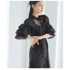 RUIRUE BOUTIQUE チュール刺繍タックワンピースドレス 黒 Sサイズのサムネイル