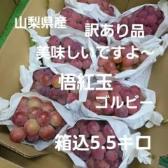 1️⃣7️⃣ 山梨県産 悟紅玉(ゴルビー)９房入り 箱込5.5キロ 1️⃣7️⃣ 山梨県産 悟紅玉(ゴルビー)9房入り 箱込5.5キロ - メルカリ