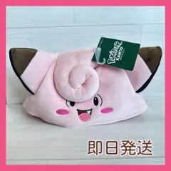 即日発送ピッピポケパークカントー ぬいぐるみキャップ ポケモンポケットモンスターのサムネイル