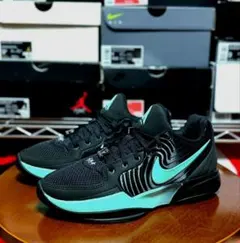 新品 Nike Ja2 Tifanny 24.5cm 