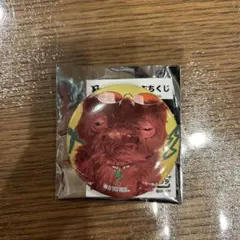 ファグラー ぷちくじ 缶バッジ ワイドアイ