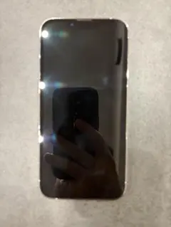 Apple iPhone 13Pro シルバー