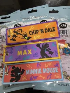 ディズニー フライトタグ