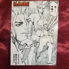 dr.stone 2L版 BIGブロマイド 原画 公式正規品 石神千空 千空D