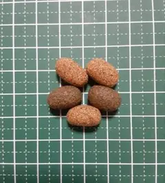 Item thumbnail for item 1723f998-3ec5-468a-9efc-99f179aef73f