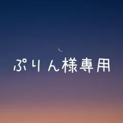 ぷりん（プロフ一読お願いします）様 リクエスト 3点 まとめ商品