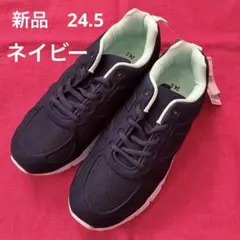 Item thumbnail for item 146f8900-60a6-48a9-95b6-fe7d23ba60f0