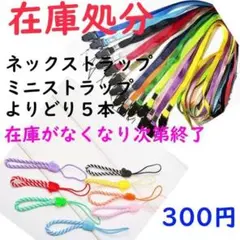 るるちゃみ様専用　ネックストラップ・ミニストラップよりどり5本300円