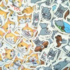 Item thumbnail for item d29f60b6-84b2-458b-a62d-9b44add0759b