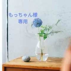もっちゃん様 専用